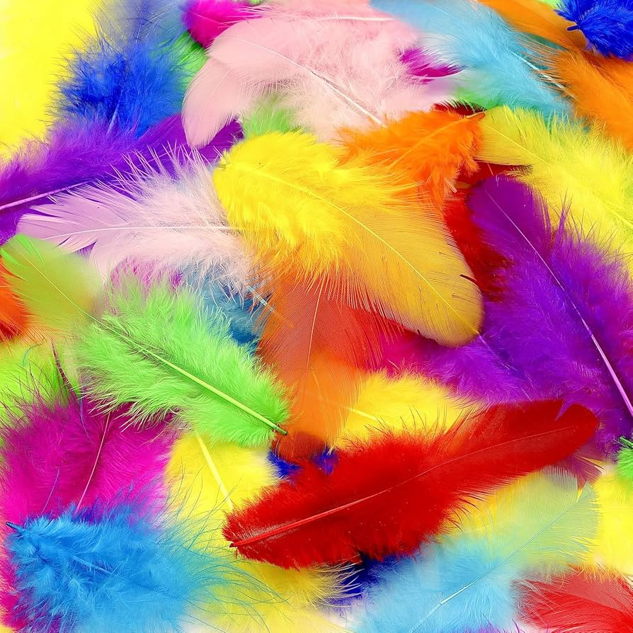 800Pcs Colorful Craft Rooster Feathers 3-5-inch Bulk Feathers for Crafting Kindergarten DIY Craft... | Amazon (US)