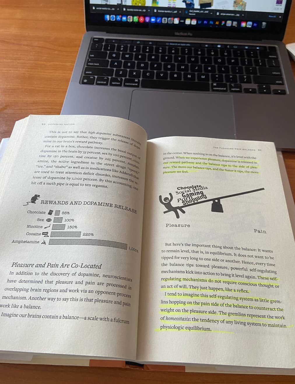 Dopamine Nation: Finding Balance in the Age of Indulgence | Amazon (US)