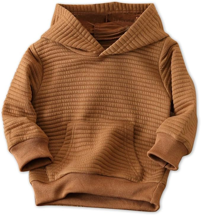 PATPAT Toddler Hoodies Boy's Hooded Sweatshirt with Pocket Solid Color Pullover Hoodies for Toddl... | Amazon (US)
