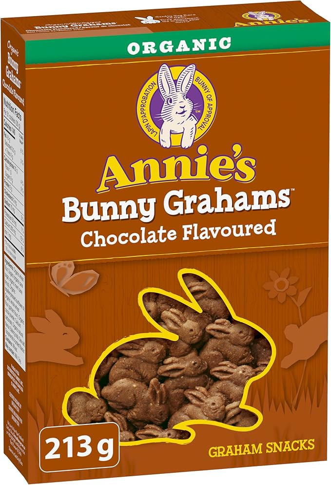ANNIE'S Chocolate Graham Cookies Snacks, Organic, No Artificial Flavours, No Synthetic Colours, 2... | Amazon (CA)