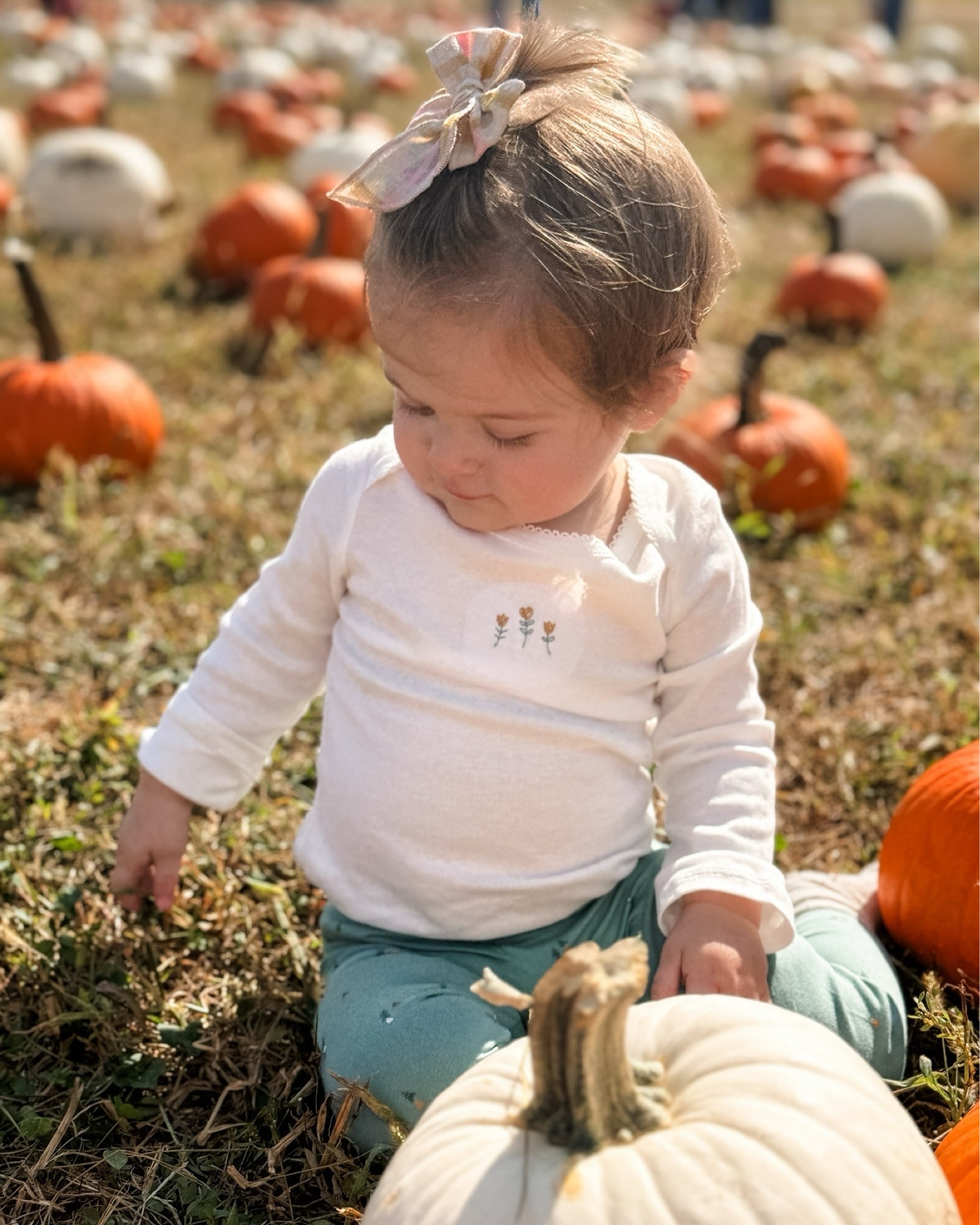 Sweet girls’ fall outfit 🌼 only $16 (includes a sweatshirt!)

#LTKSeasonal #LTKFamily #LTKBaby