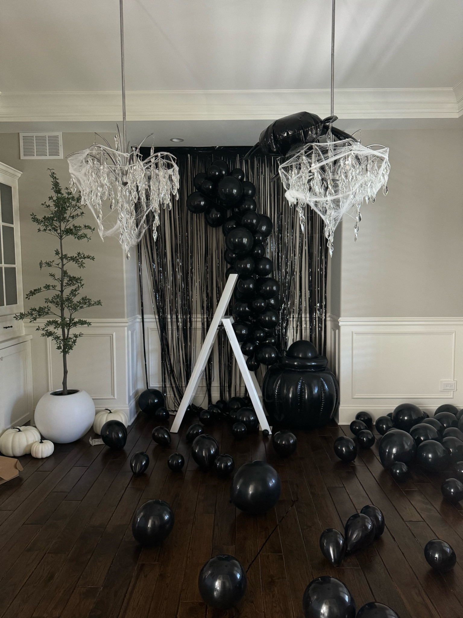 Setting up our Halloween photo corner 🦇🕷️🕸️

#LTKHalloween #LTKHome