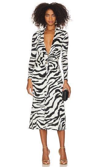 Dress in Zebra | Revolve Clothing (Global)