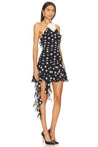 Brandi Mini Dress in Black & White Dot | Revolve Clothing (Global)