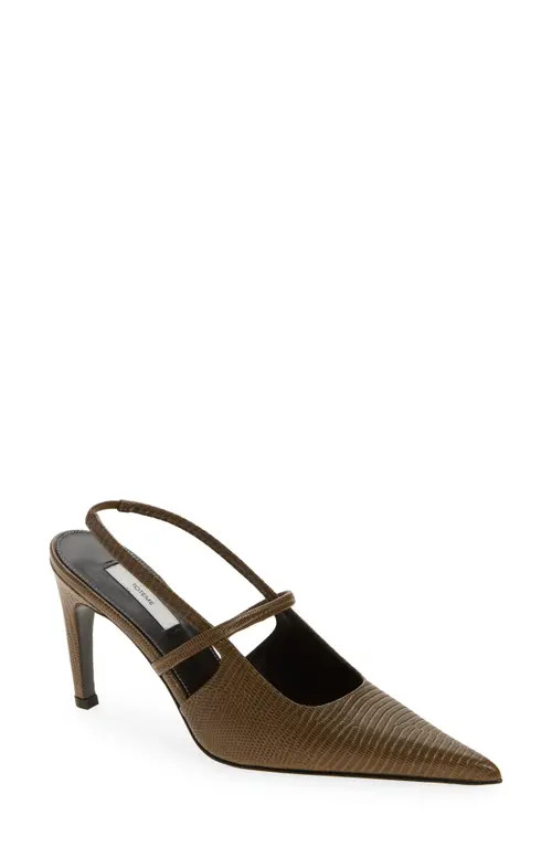 TOTEME Lizard Embossed Sharp Pointed Toe Slingback Pump in Dark Olive at Nordstrom, Size 9Us | Nordstrom