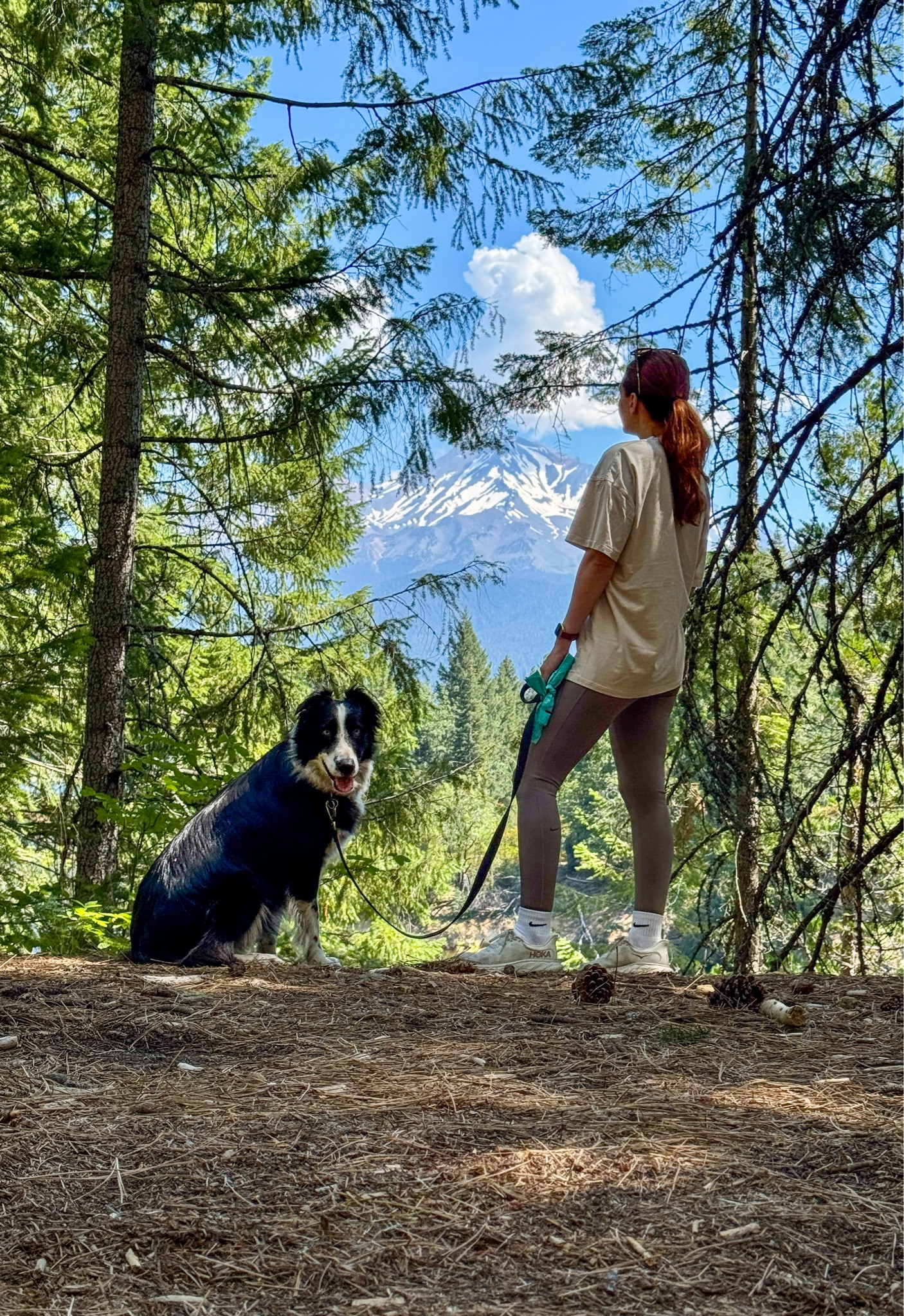 “So as to walk in a manner worthy of the Lord, fully pleasing to him: bearing fruit in every good work and increasing in the knowledge of God.”
Oversize Shirt: Small
Athletic Leggings: Small, Color Mink
Height: 5’3
Border Collie: Perfect
.

.

.

.

.
Hiking Outfit
Outdoorsy Style
Outdoor Aesthetic
Granola Style
Granola Girl
Active Style

#LTKActive #LTKTravel #LTKPets