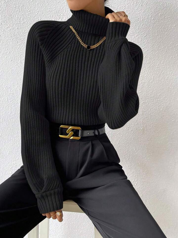SHEIN Frenchy Turtleneck Raglan Sleeve Ribbed Knit Sweater | SHEIN