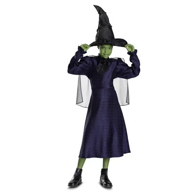 NBCUniversal Girls' Wicked the Musical Elphaba Classic Costume Dress Dark Purple 3T-4T | Target