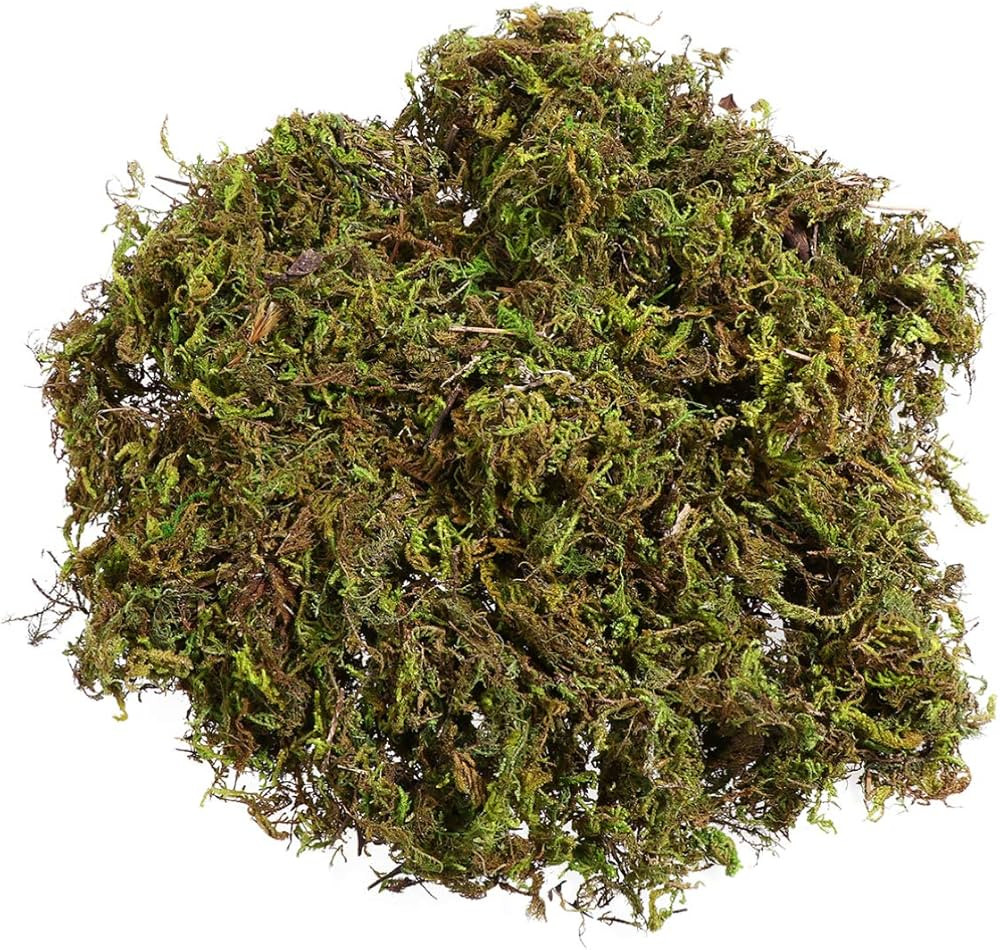 VOSAREA 1 Pack Artificial Moss Fake Lichen Simulation Green Faux Pot Moss for DIY Miniature House... | Amazon (US)
