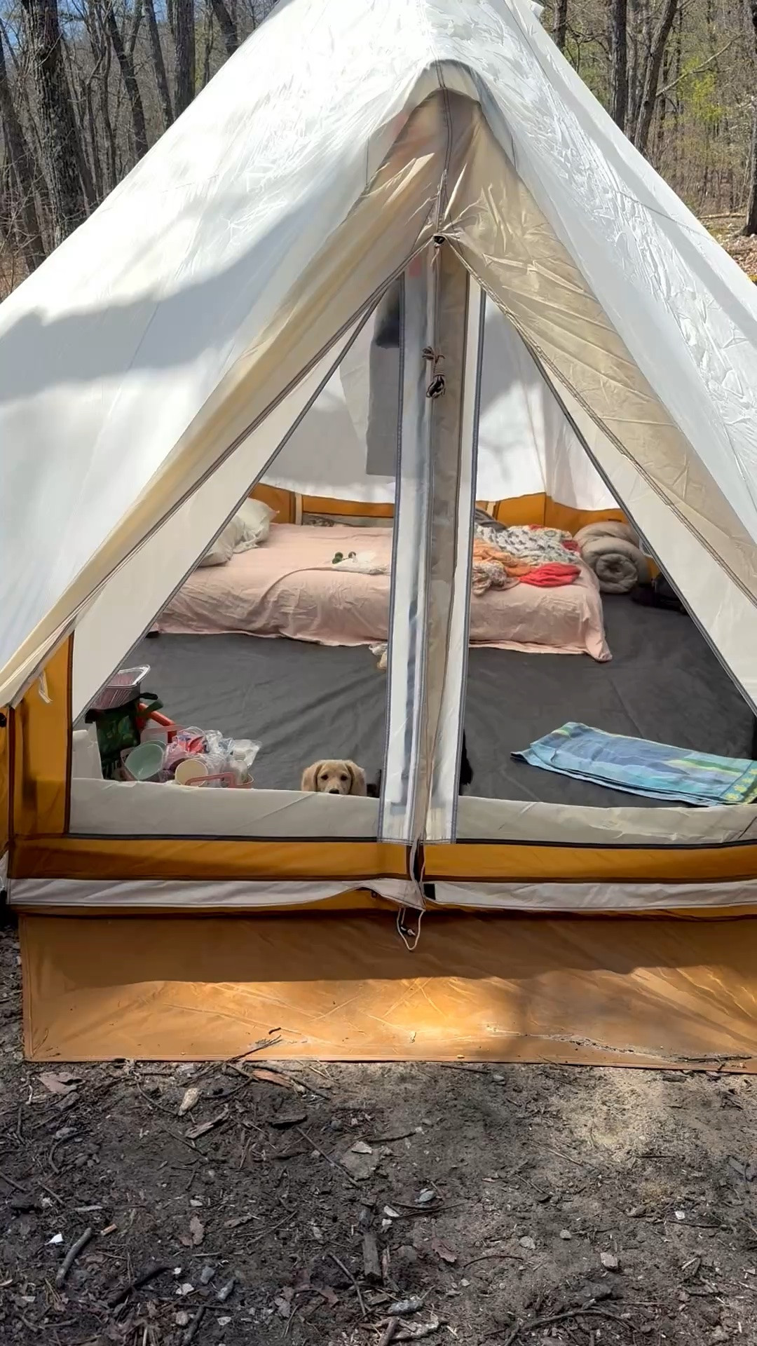 The only way I’m camping is if it’s glamping ! Here are some of our fav comfort items when spending time outdoors !

#LTKHome #LTKKids #LTKmomlife