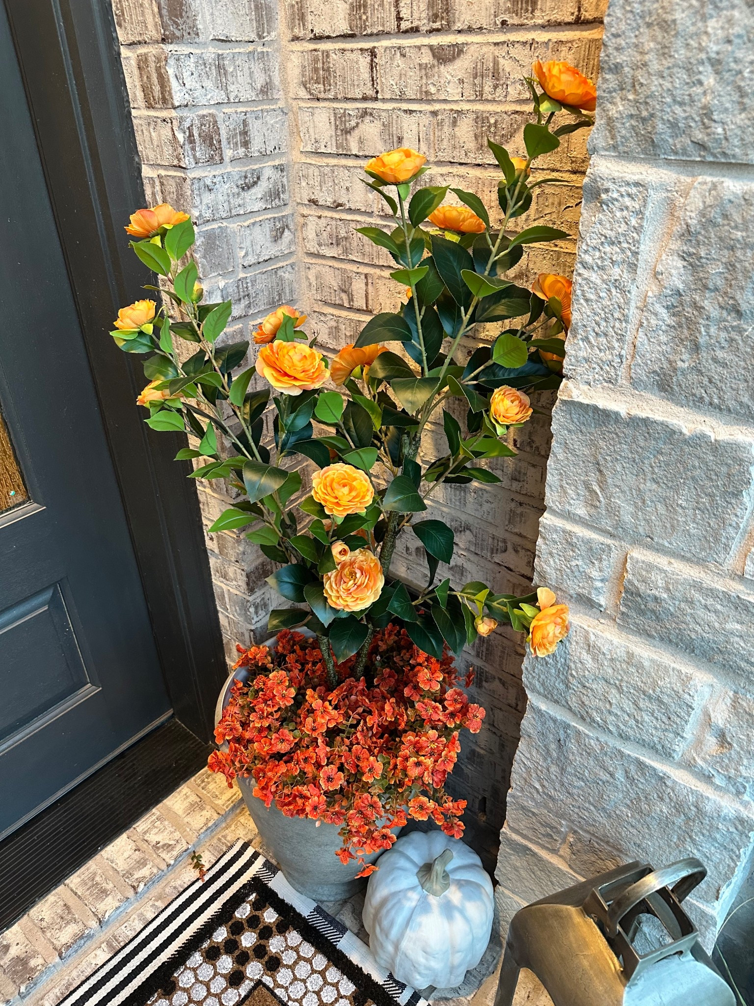 Orange Camellia Trees  

#LTKStyleTip #LTKHome #LTKSaleAlert