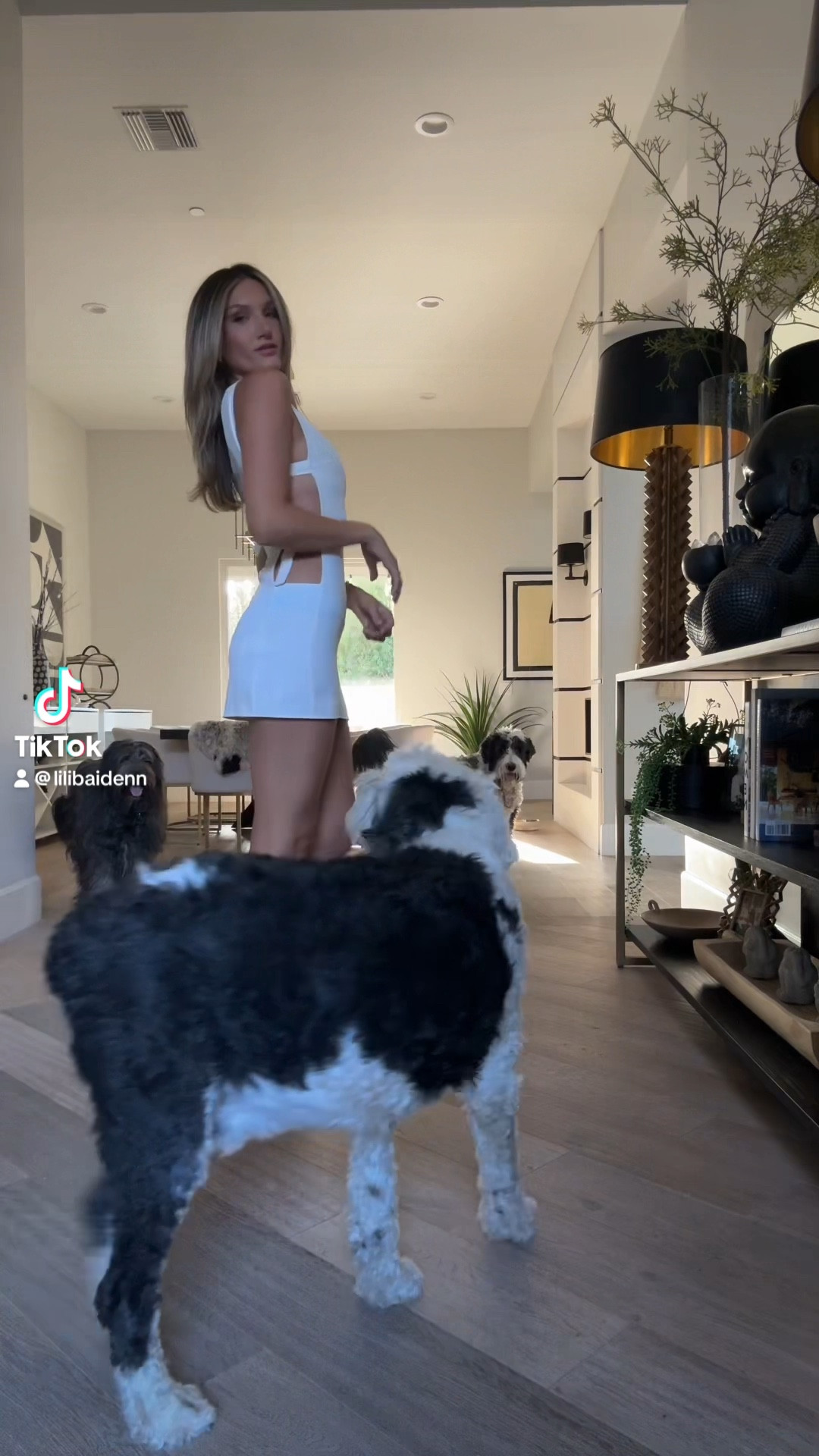 My absolute favorite dress on my tik tok! 
#tiktok #fashion #trending #trendy #fashiontrend #dress #dresses #musthave 

#LTKfindsunder100 #LTKVideo #LTKstyletip