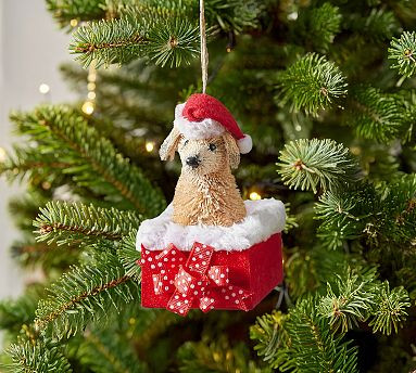 Puppy in Present | Pottery Barn (US)