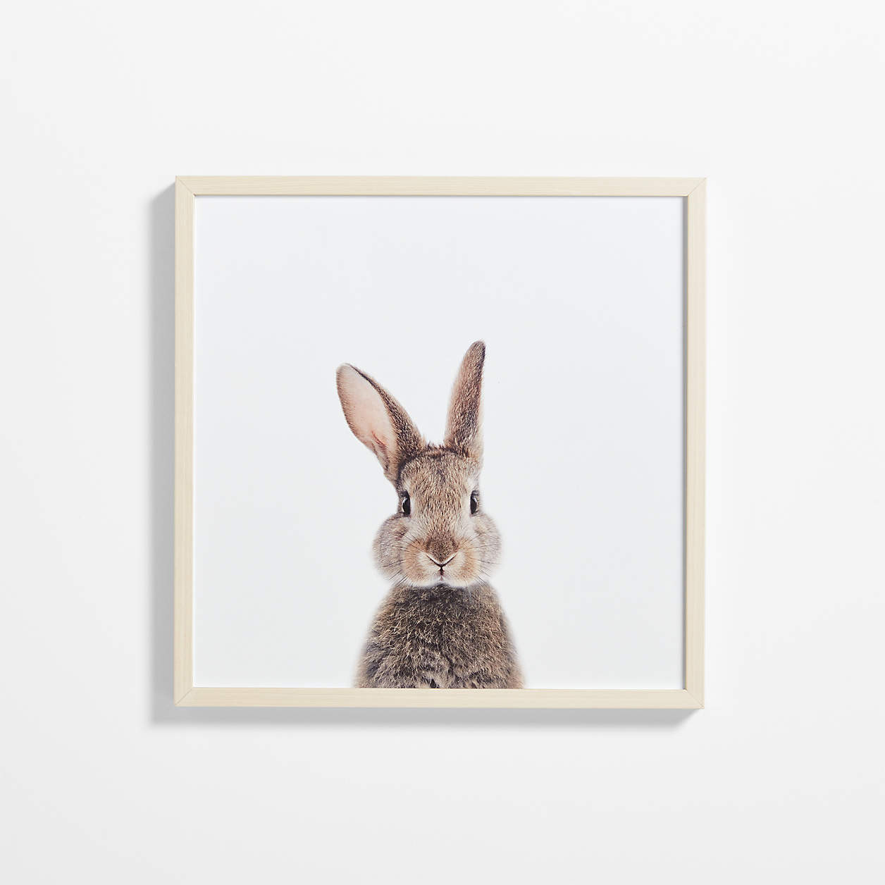Baby Bunny Tail Framed Wall Art Print + Reviews | Crate & Kids | Crate & Barrel