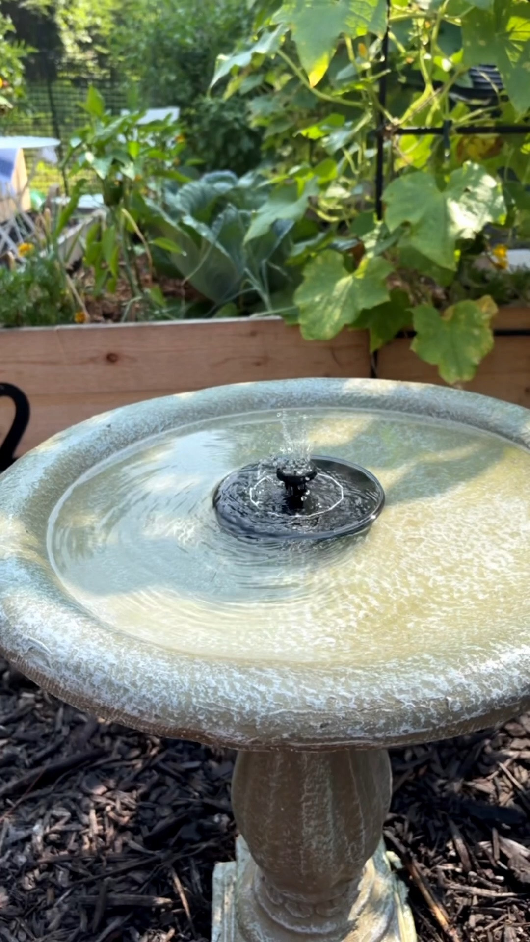 This concrete-look birdbath is one of my favorite additions to the garden. I paired it with a solar fountain for a little movement and relaxing sound. Shop this piece and more of my favorite Wayfair finds from the Black Friday in July Sale in my collection. 🤍

#LTKHome #LTKSaleAlert #LTKSeasonal
