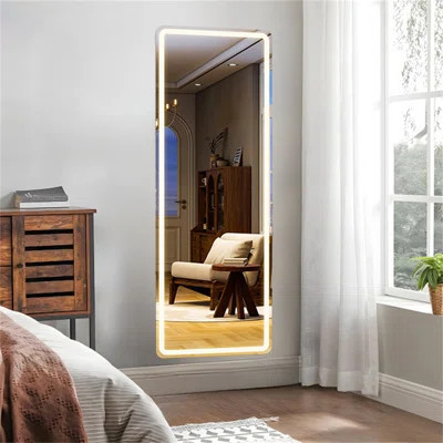 Full Body Mirror With Light, Tempered Glass, LED Full Body Mirror, With Dimming And Three Color Lighting, Can Be Hung Or Erected On The Door, Very Sui | Wayfair North America