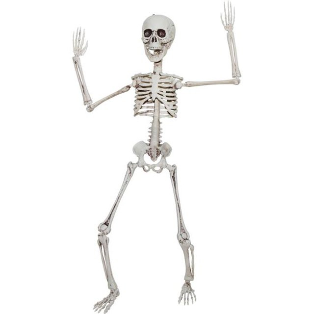 Poseable Skeleton 20" | Walmart (US)