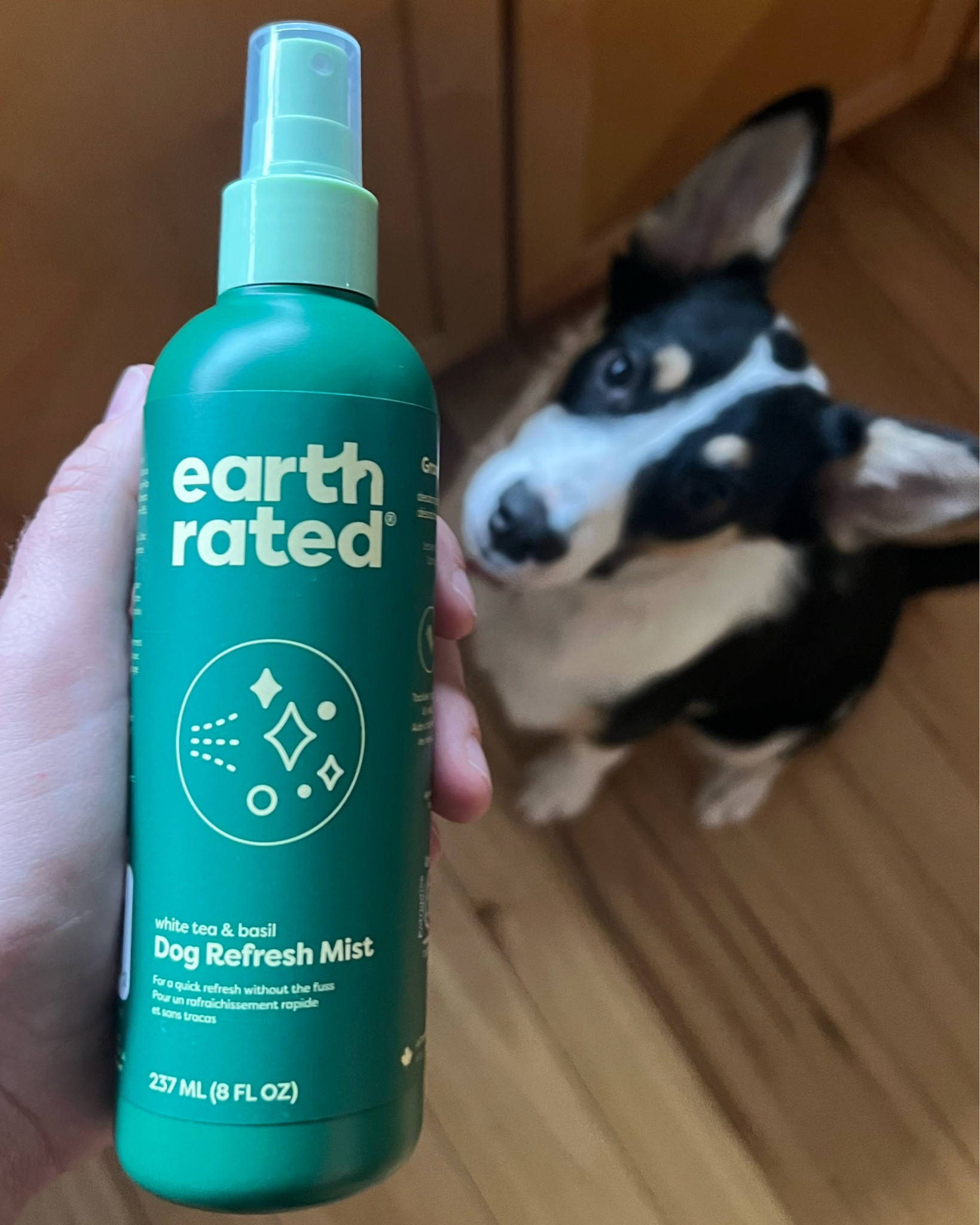 Dog Spray. Dog Bath. Pet grooming. Pet products. Furry friend. Puppy. Doggy. 

#LTKSaleAlert #LTKBaby #LTKFamily