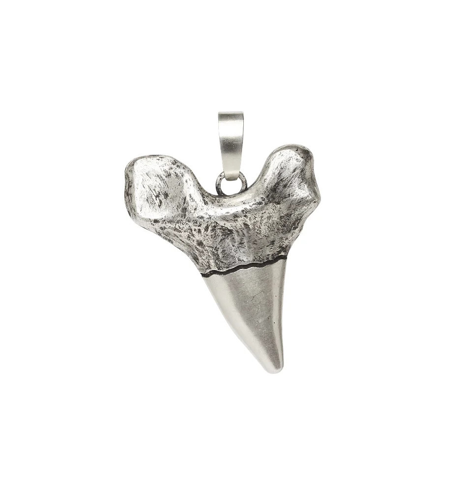 Sharktooth Charm SILVER | DYLANLEX