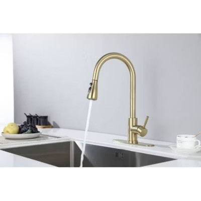 Pull-Out Spray Kitchen Faucet | Target
