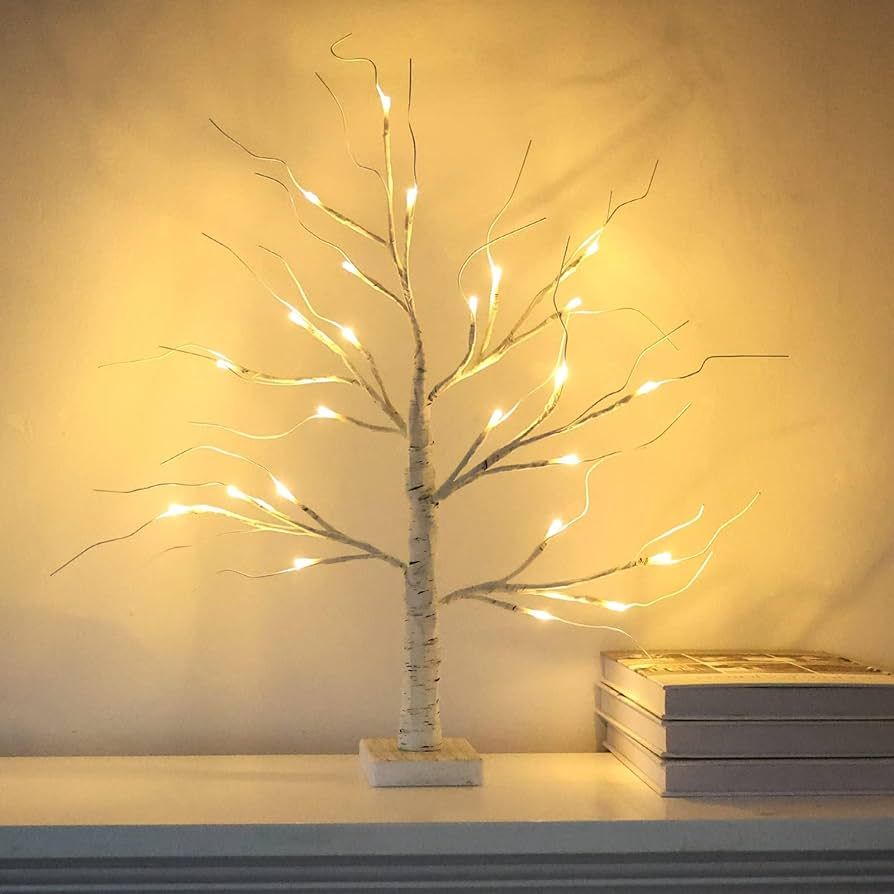 hogardeck 2FT 24LT Led Lighted Birch Tree, White Money Artificial Tree for Christmas Decorations ... | Amazon (US)