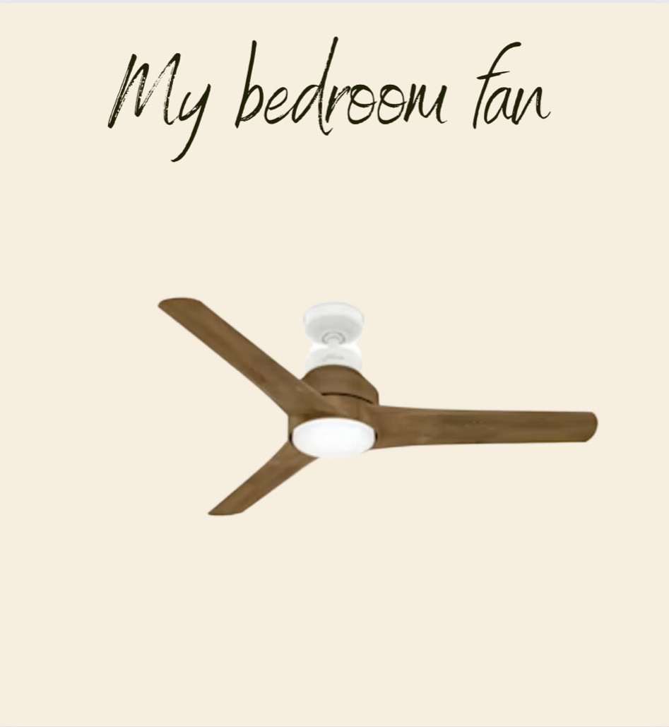 The prettiest fan! 

#LTKFind #LTKhome