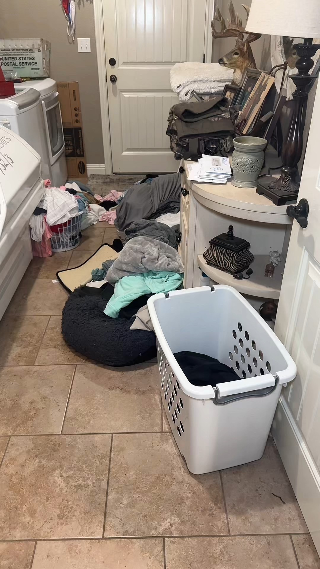 Laundry sauce smells so good and cleans  your clothes fabulously! Bonus it lingers through the house and makes it smell amazing too!

#LTKTravel #LTKHome #LTKOver40
