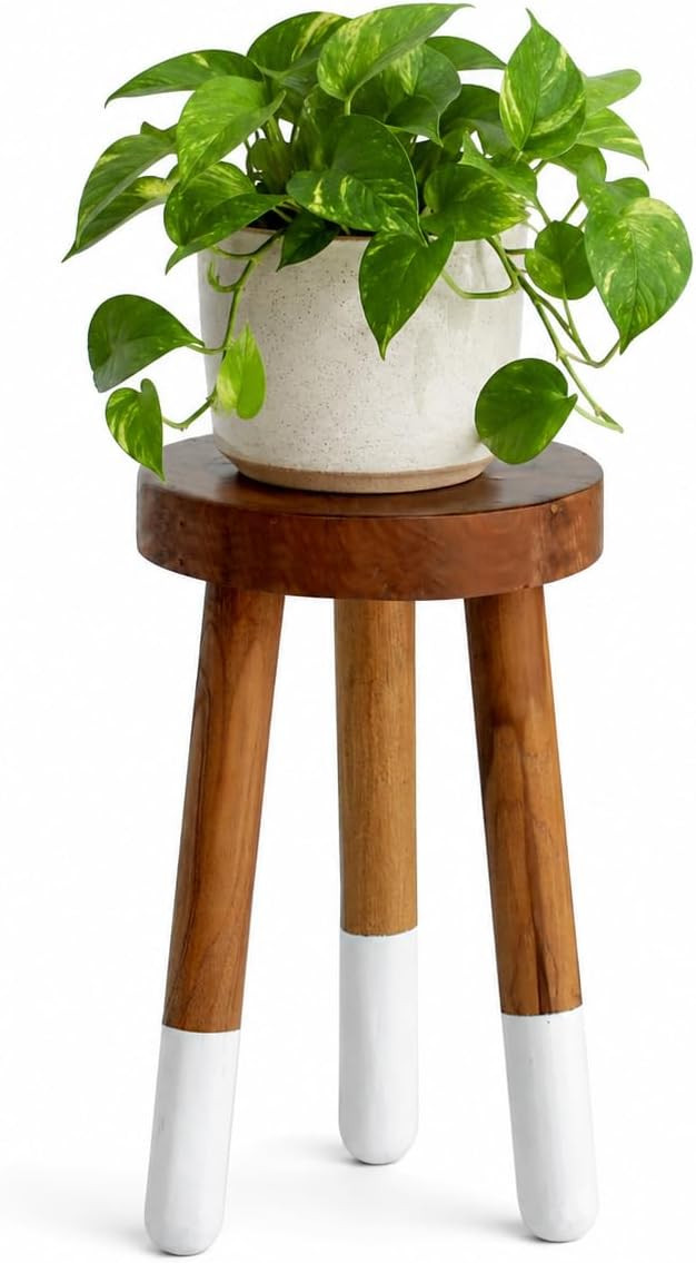 Teak 11.8" Round Dip Dyed Teak Stool | Wood Accent Side Table | Wood Plant Stand (20" Tall White) | Amazon (US)