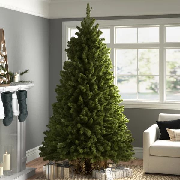 Laroche Lighted Artificial Green Spruce Christmas Tree | Wayfair North America