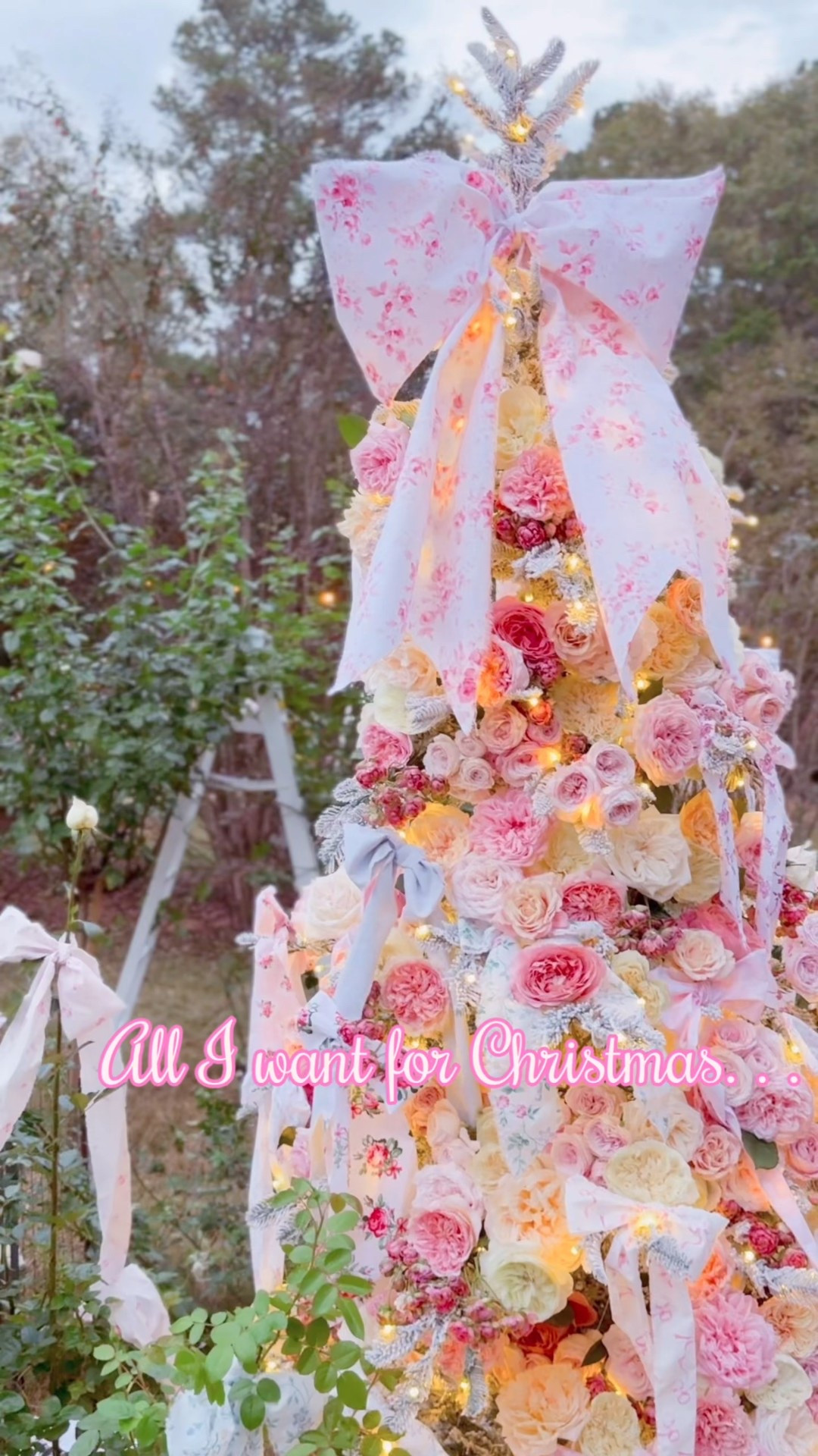 All I want for Christmas is roses  

#LTKHome #LTKOver40 #LTKselfcare