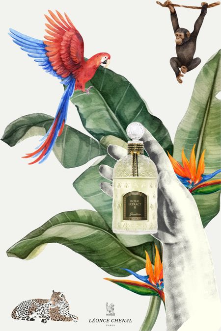 Les Collections Particulières — Royal Jungle

Royal Extract II by Guerlain is a floral green fragrance created by Thierry Wasser.
Top notes: Petitgrain, Pink pepper.
Middle notes: Orange blossom, Hyacinth, Cedarwood.
Base notes: Vetiver, Galbanum, Moss.

#LTKbeauty #LTKSeasonal #LTKeurope