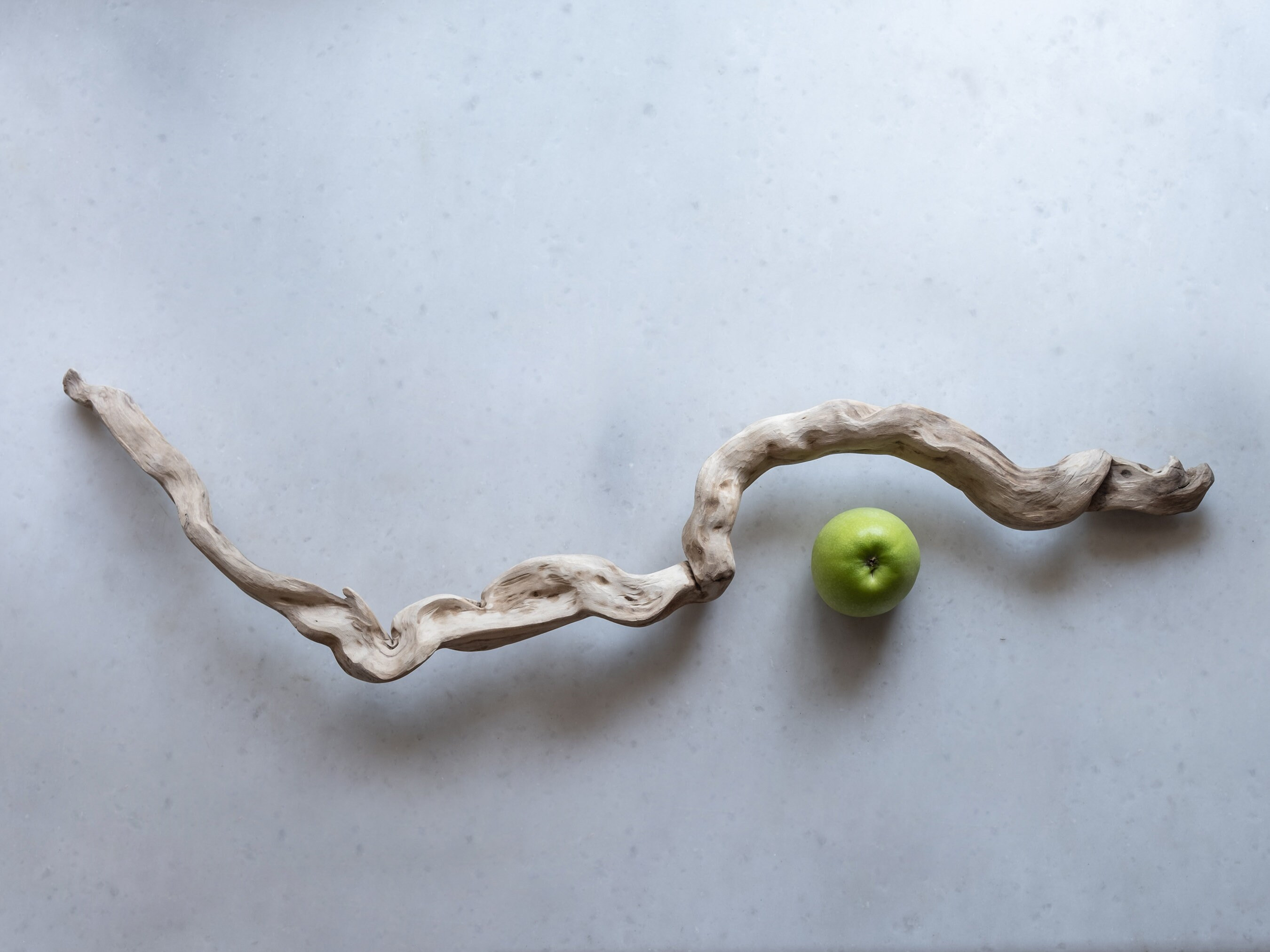 Driftwood Wall Art, Naturalist Home Decor, Upcycled Sustainable Material Wall Hanging, Driftwood ... | Etsy (US)