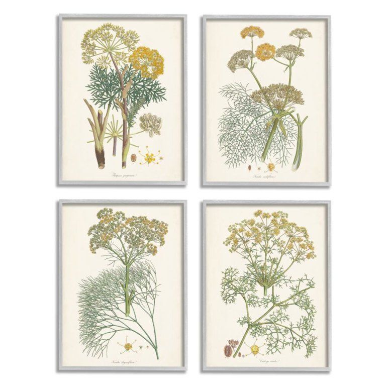 Stupell Industries Vintage Saffron Study with Floral Herbs Design by Unknown Artist, 4 Piece, 11"... | Walmart (US)