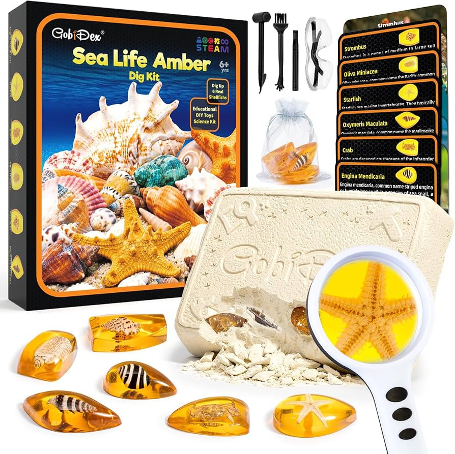 GobiDex Sea Life Amber Dig Kit, Educational Fun Toys STEM Activities Science Kits for Kids Age 6-... | Amazon (US)