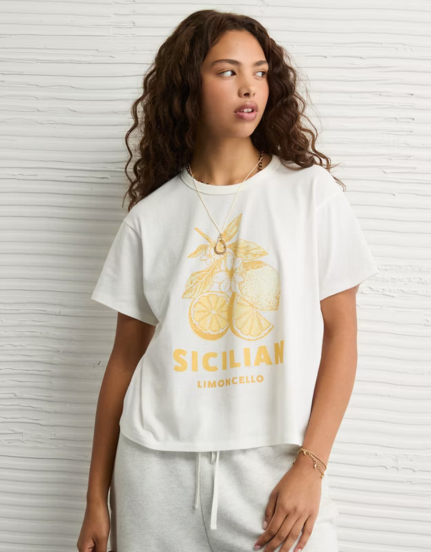 AE Ex-Boyfriend Destination Graphic T-Shirt | American Eagle Outfitters (US & CA)