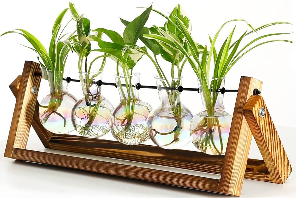 XXXFLOWER Plant Terrarium with Wooden Stand, Wall Hanging Glass Planter Tabletop Propagation Stat... | Amazon (US)
