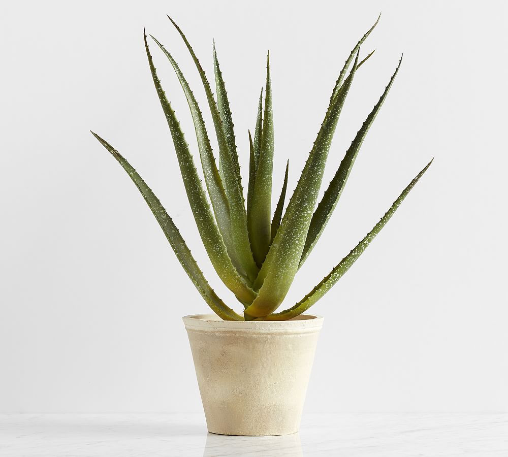 Faux Potted Speckled Aloe Vera Plant In Terracotta Pot | Pottery Barn (US)