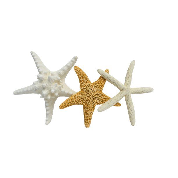 Starfish Shell Beach Décor, 1 Each | Walmart (US)
