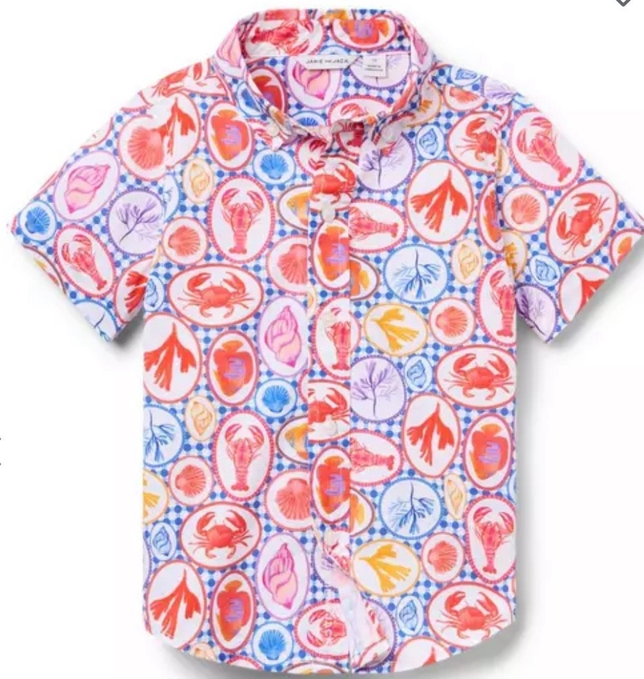 East coast summer kids button down 

#LTKFamily #LTKSeasonal #LTKBaby