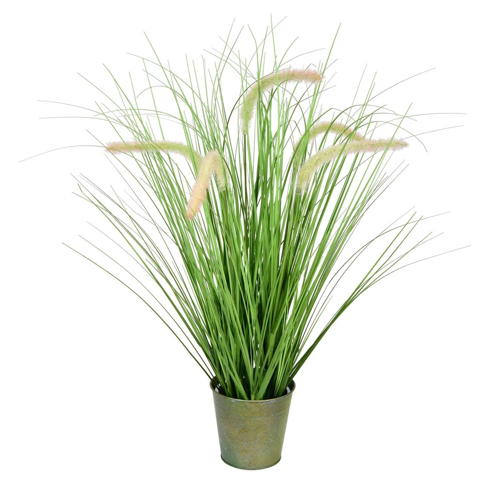 Beachcrest Home™ Artificial Potted Green Grass and Cattails & Reviews | Wayfair | Wayfair North America