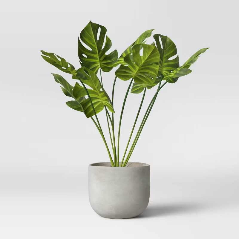 Concrete Planter Pots - Project 62™ | Target