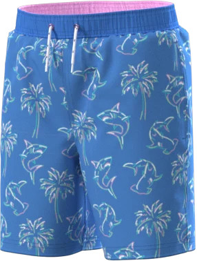 Wonder Nation Little and Big Boys Quick Dry Swim Trunks with UPF50+, Sizes 4-18 & Husky | Walmart (US)