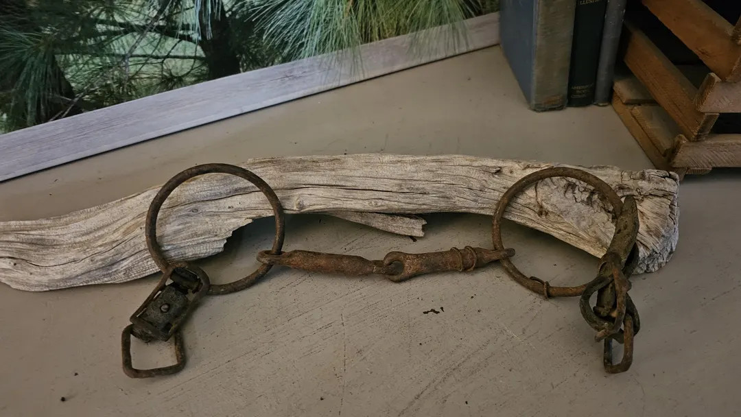 Antique Hand Forged Horse Bit Large Rings Some Leather: Rusty Farmhouse Decor #4883 - Etsy | Etsy (US)