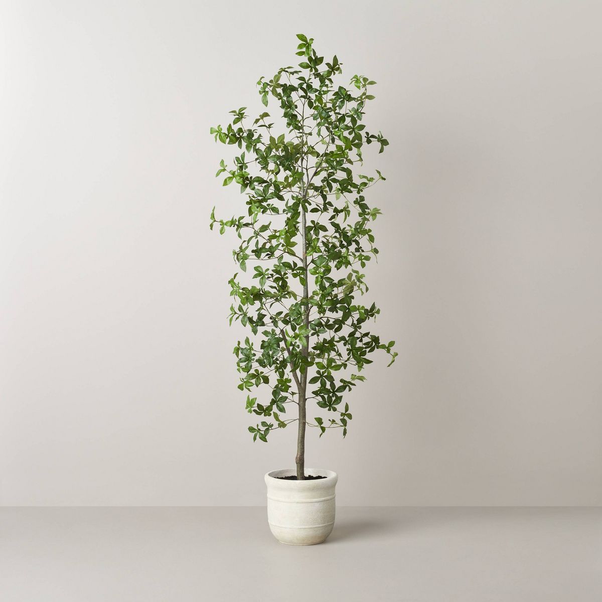 72" Faux Gypsophila Leaf Tree - Hearth & Hand™ with Magnolia | Target