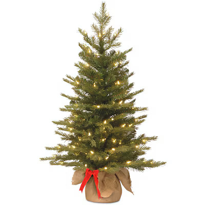 National Tree Company 3-ft Spruce Pre-lit Slim Artificial Christmas Tree with White LED Lights | Lowe's