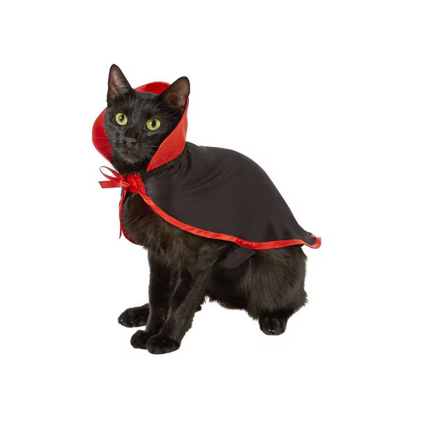 FRISCO Vampire Cape Dog & Cat Costume, X-Small/Small - Chewy.com | Chewy.com