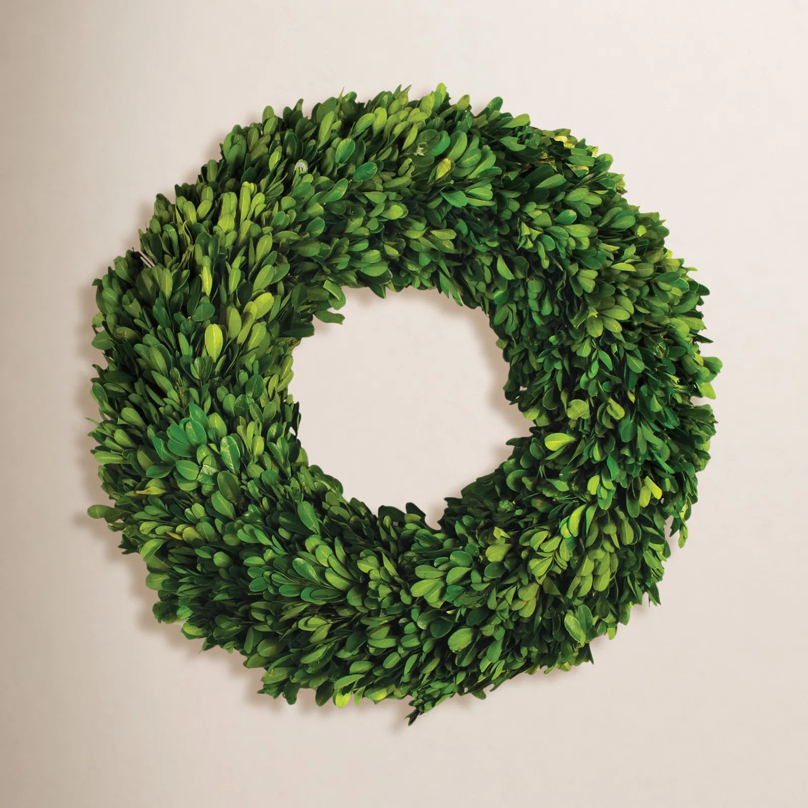 Alby Preserved Boxwood Real Greenery Wreath | Wayfair North America