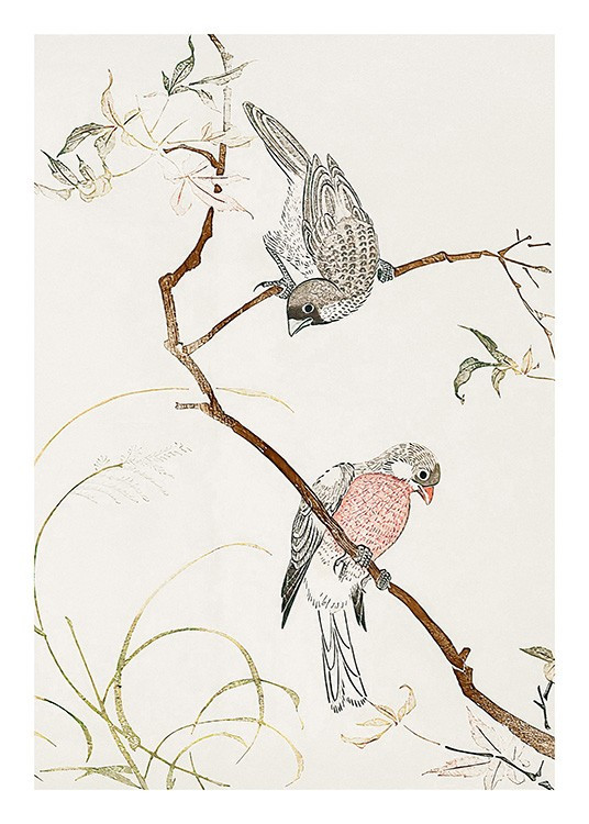 Birds posters | Desenio