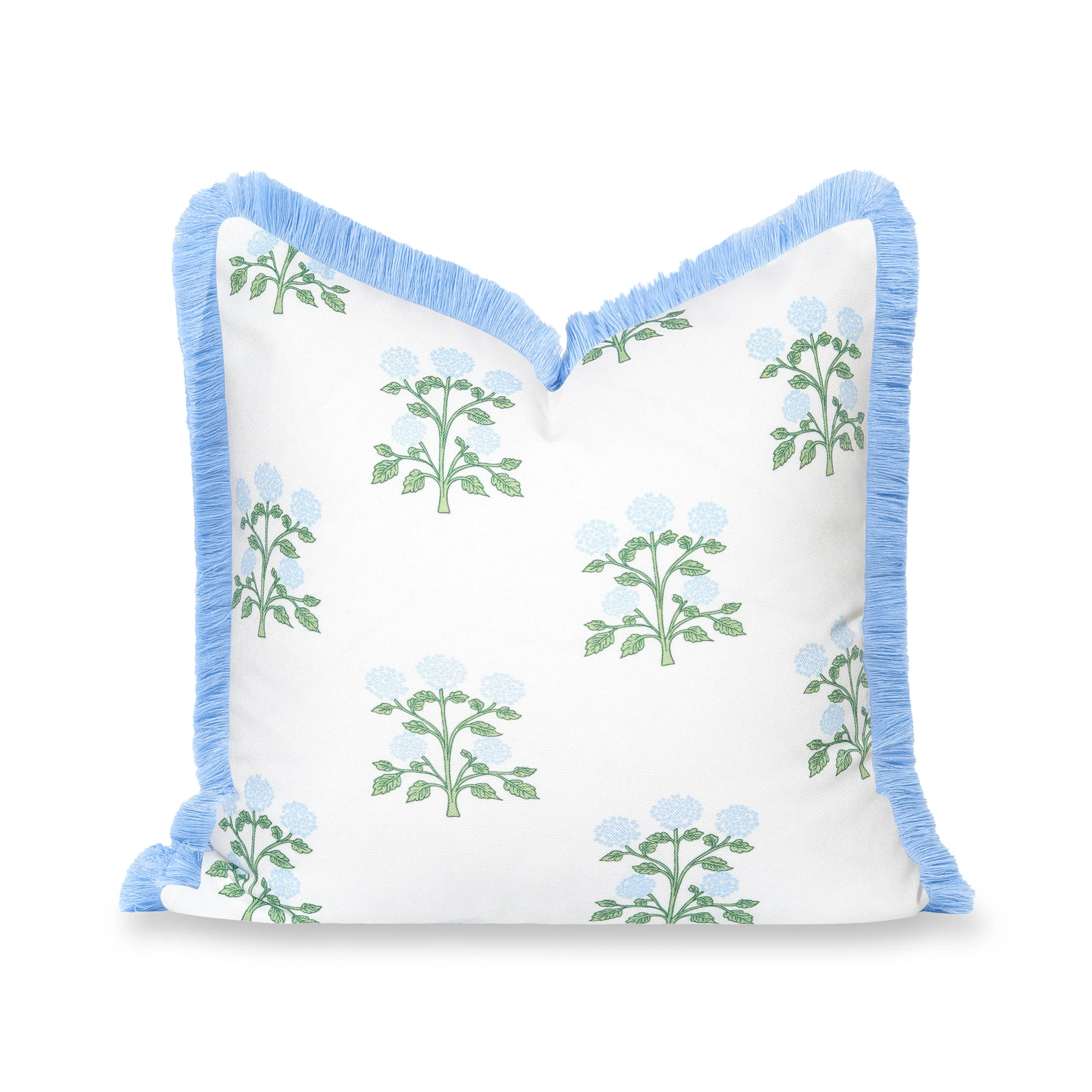 Barbelle, Indoor/Outdoor Baby Blue Green Throw Pillow Cover, with Fringe, 20 | Hofdeco