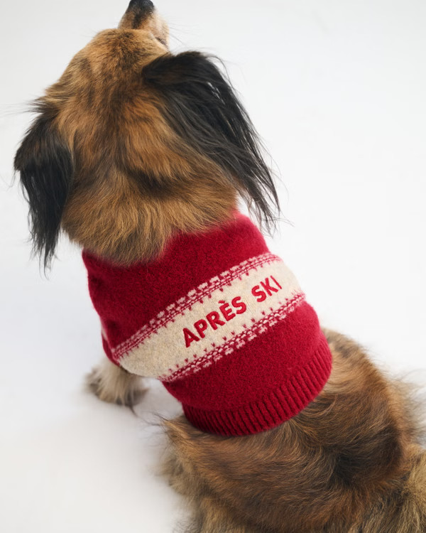 Women's Graphic Pet Sweater | Women's Accessories | Abercrombie.com | Abercrombie & Fitch (US)
